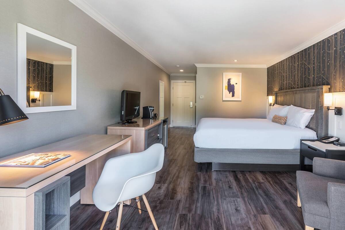 A hotel room with a bed, a desk, a chair, a TV, and a mirror.