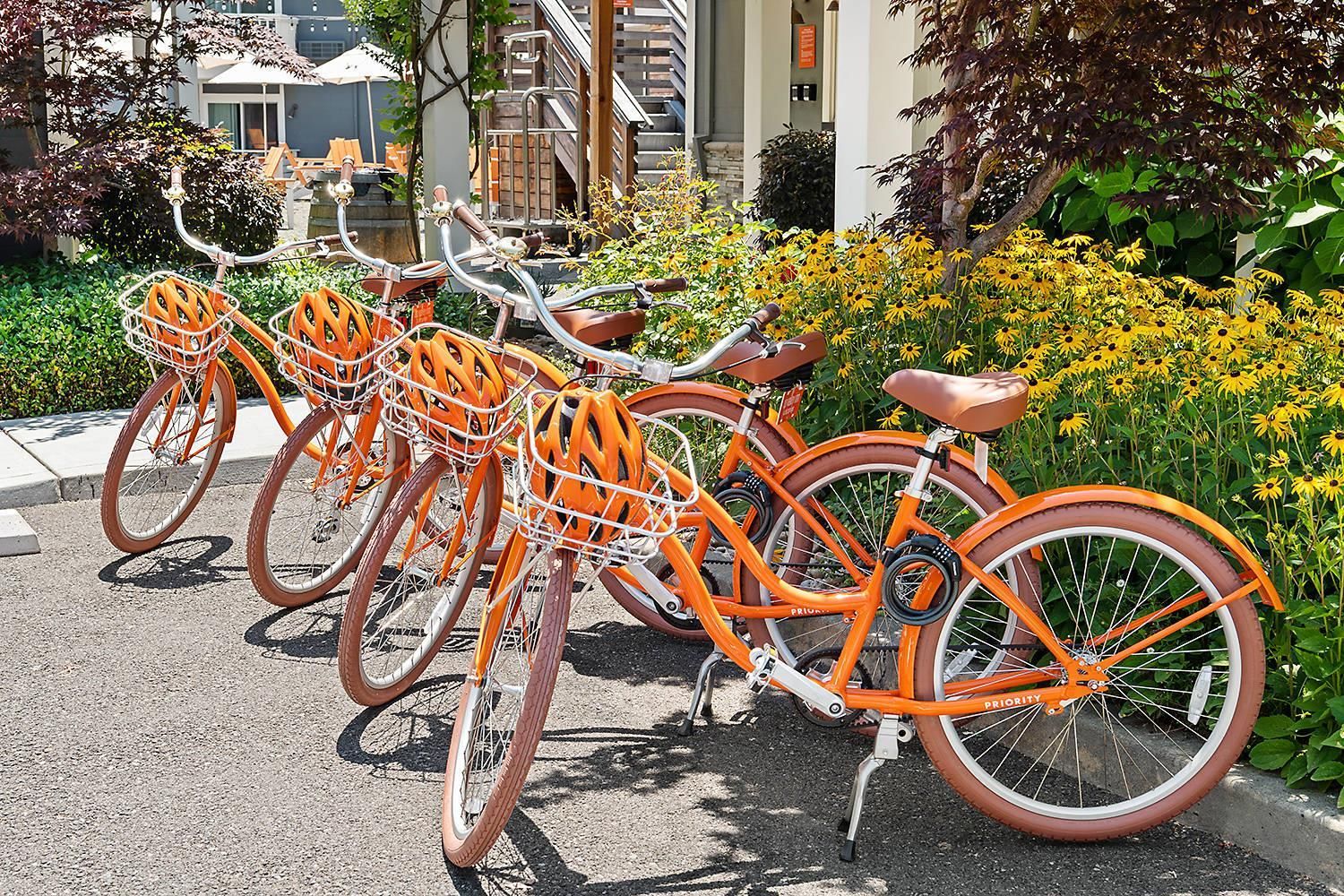 Eine Reihe orangefarbener Fahrräder mit Körben, abgestellt auf einem befestigten Untergrund.