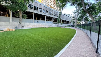 A grassy area with a paved walkway and a building with multiple floors and large windows in the background.