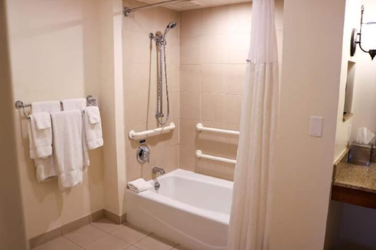 Bathroom | Combined shower/tub, free toiletries, hair dryer, towels