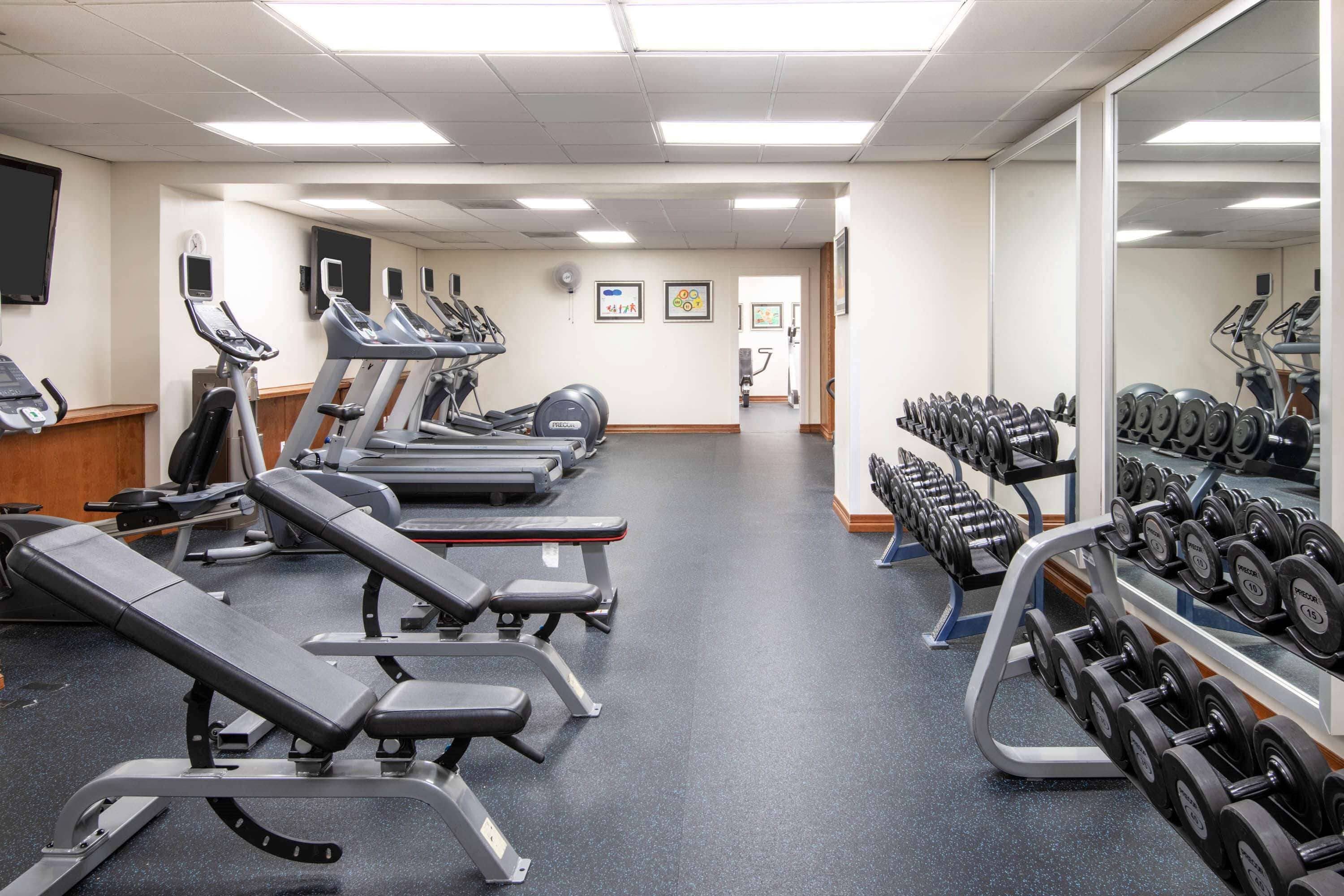 A gym with treadmills, weight benches, and a rack of dumbbells.