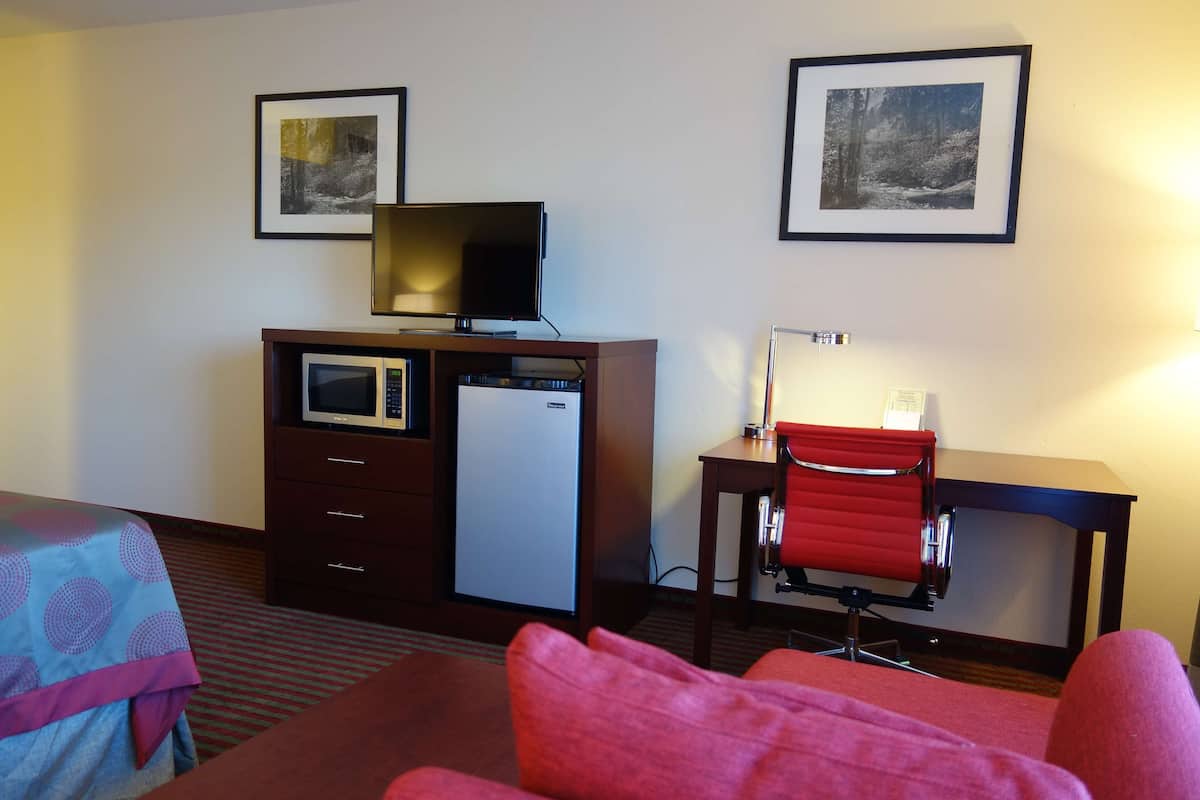 Habitación de hotel con una cama, un escritorio con computadora, una silla, televisor, refrigerador y dos cuadros en la pared.