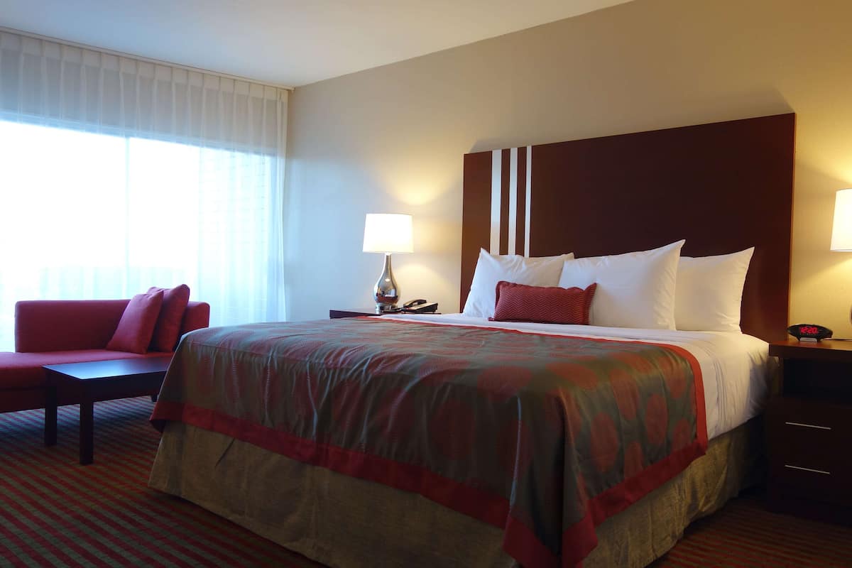 Habitación de hotel con una cama grande, un sofá rojo, una mesita de noche con lámpara y una ventana con cortinas translúcidas.