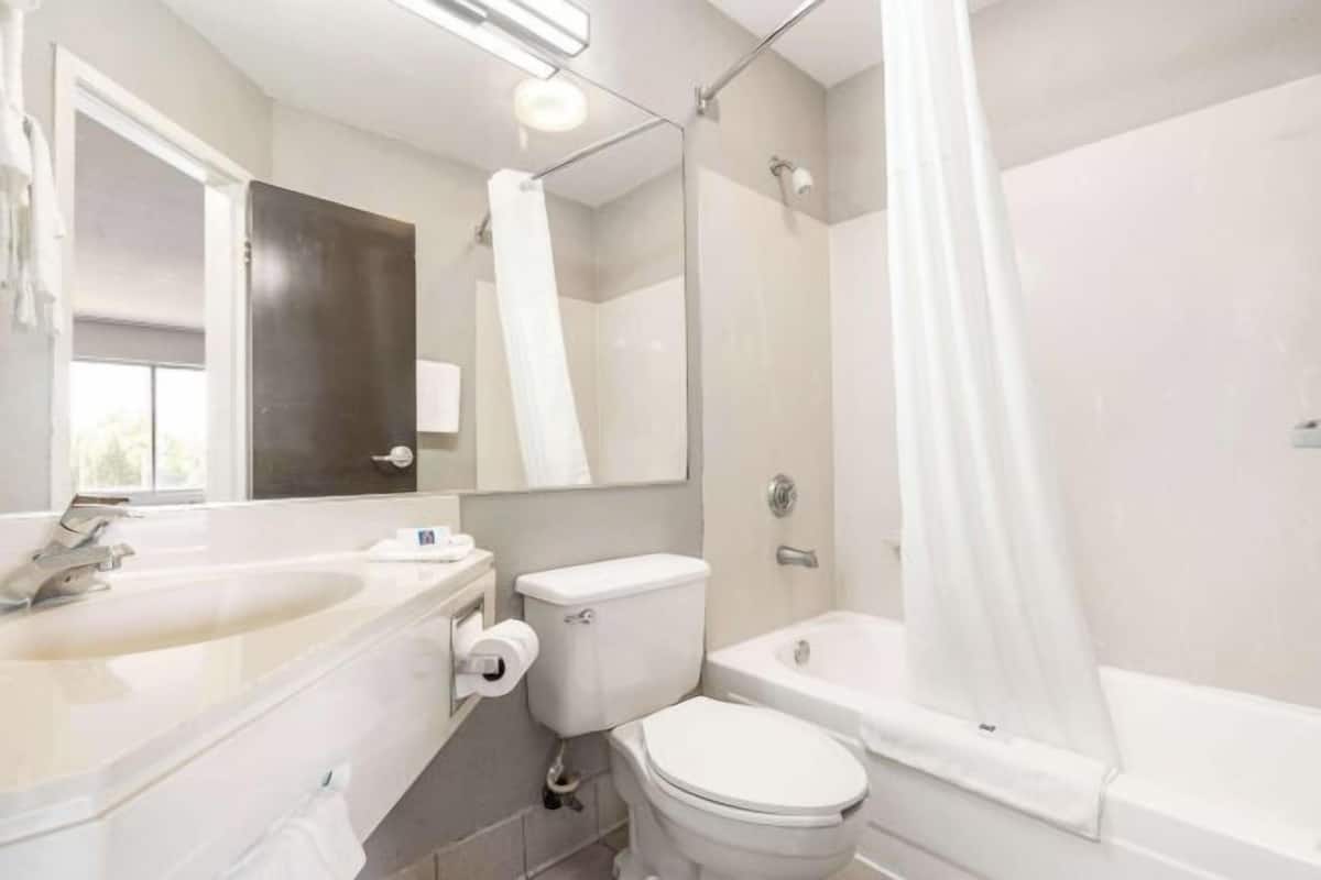 Combined shower/tub, free toiletries, hair dryer, towels