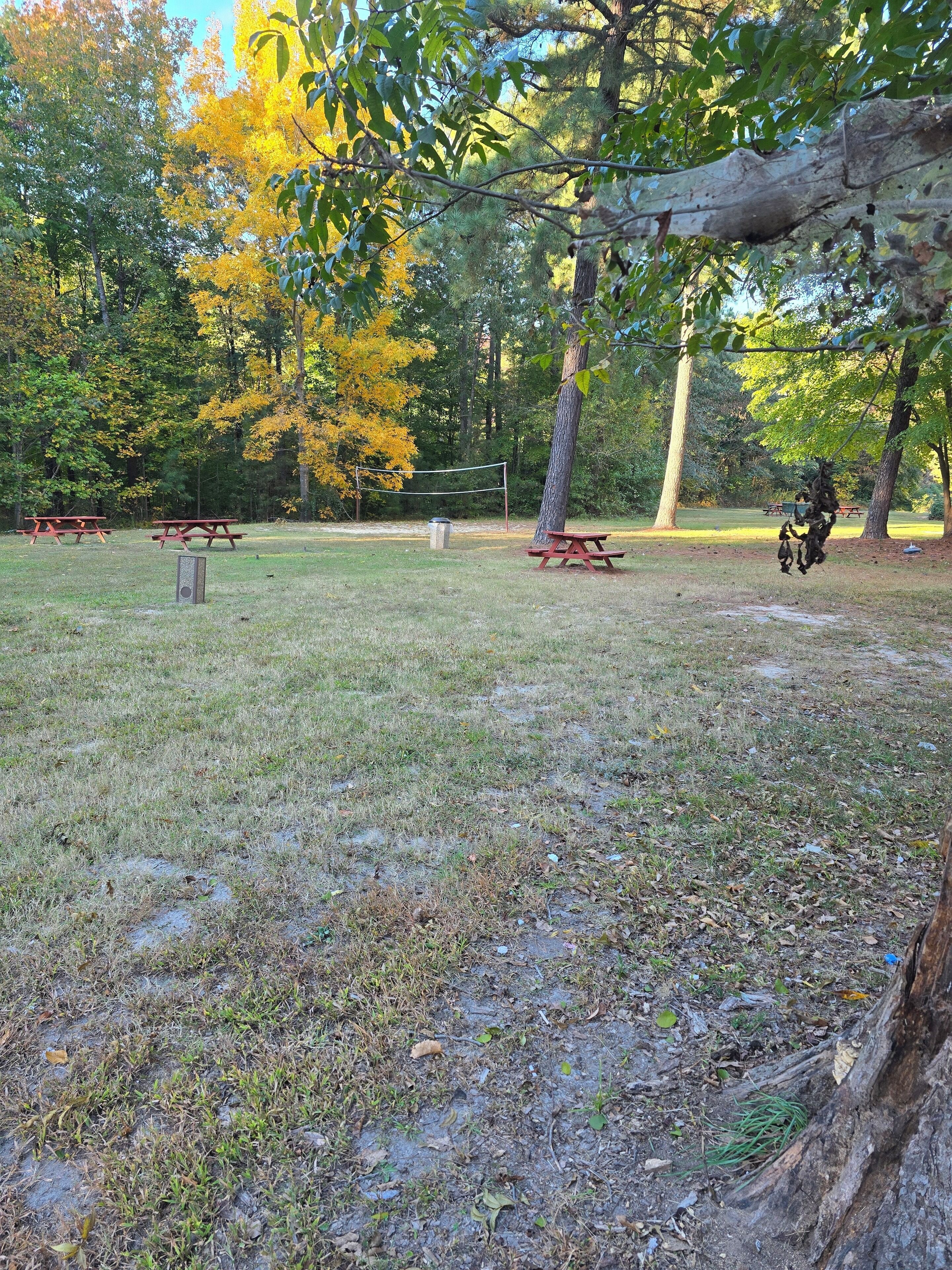 Um parque com mesas para piquenique e uma rede de voleibol.