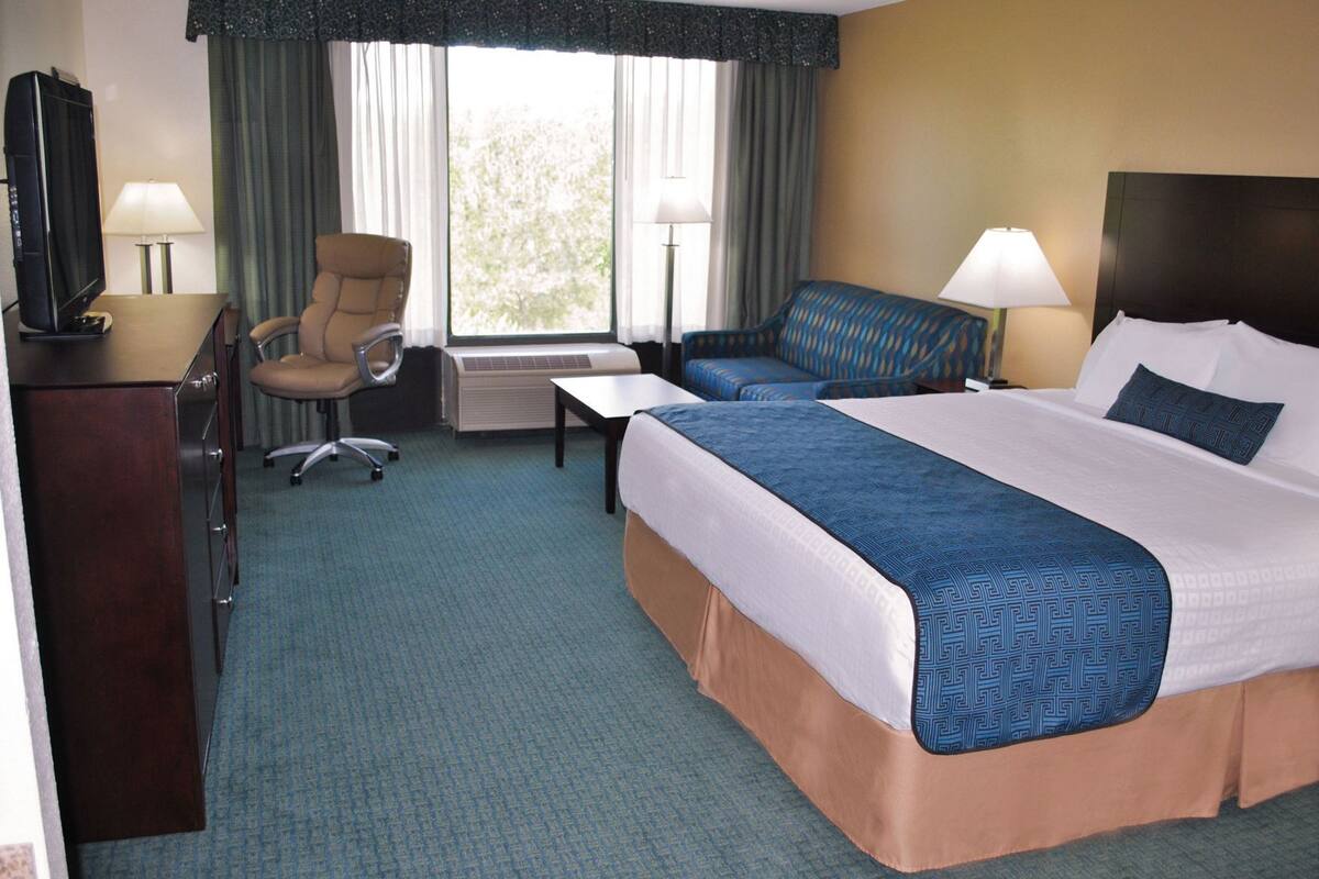 A hotel room with a bed, a desk, a chair, and a sofa.