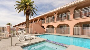 A hotel pool area with a hot tub, lounge chairs, and a palm tree.
