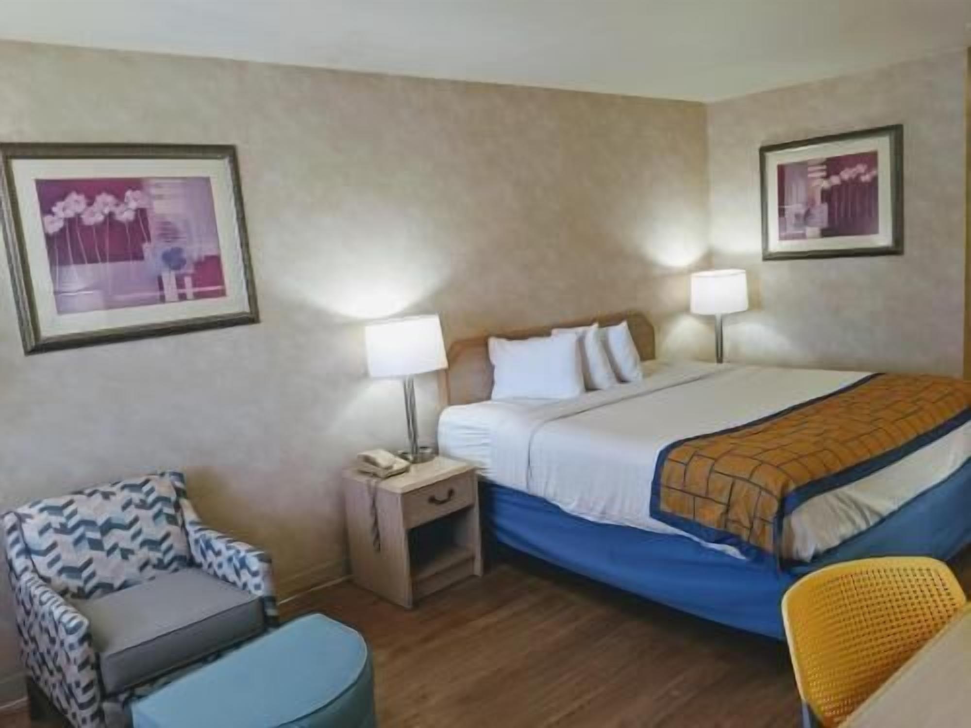 Escrivaninha, cortinas blackout, ferros/tábuas de passar roupa