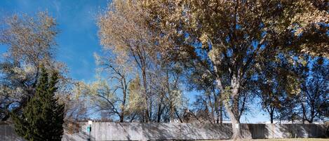 A park with trees, a fence, and a grassy area.