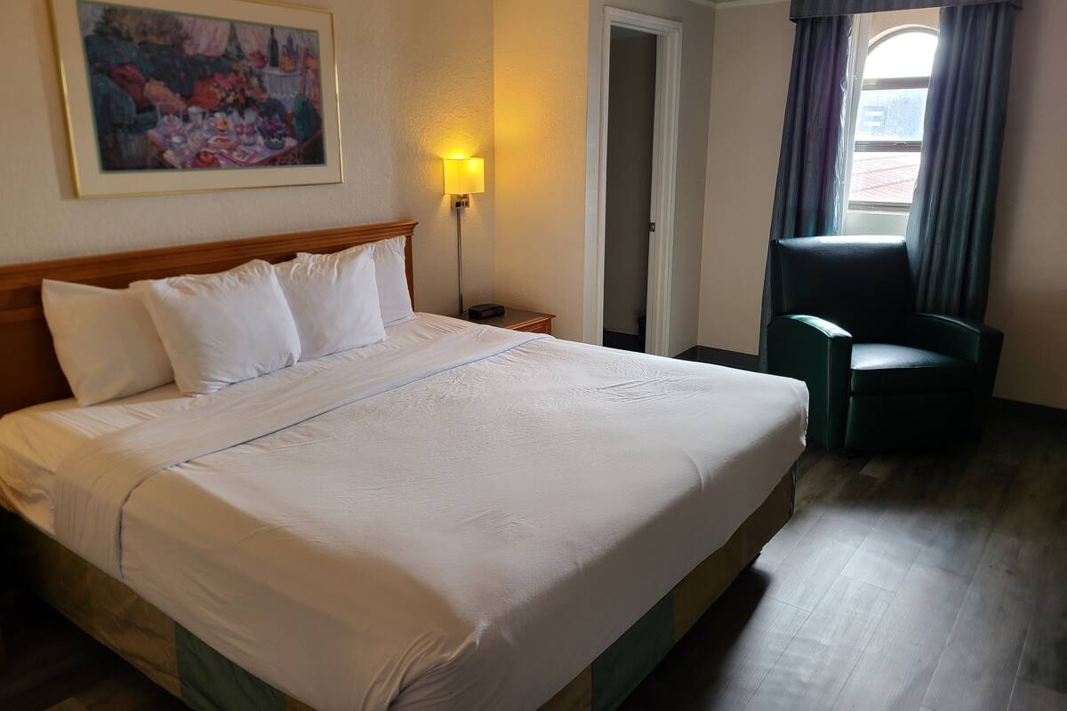 Una habitación de hotel con una cama grande, una silla, un cuadro en la pared y una lámpara.