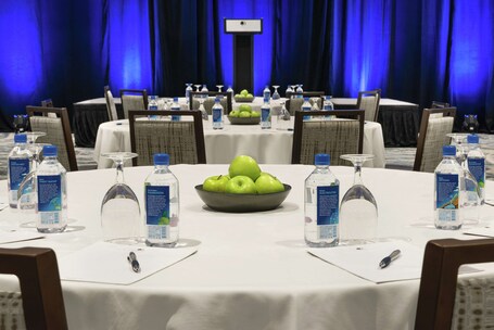 DoubleTree by Hilton Chicago Magnificent Mile - Image 57