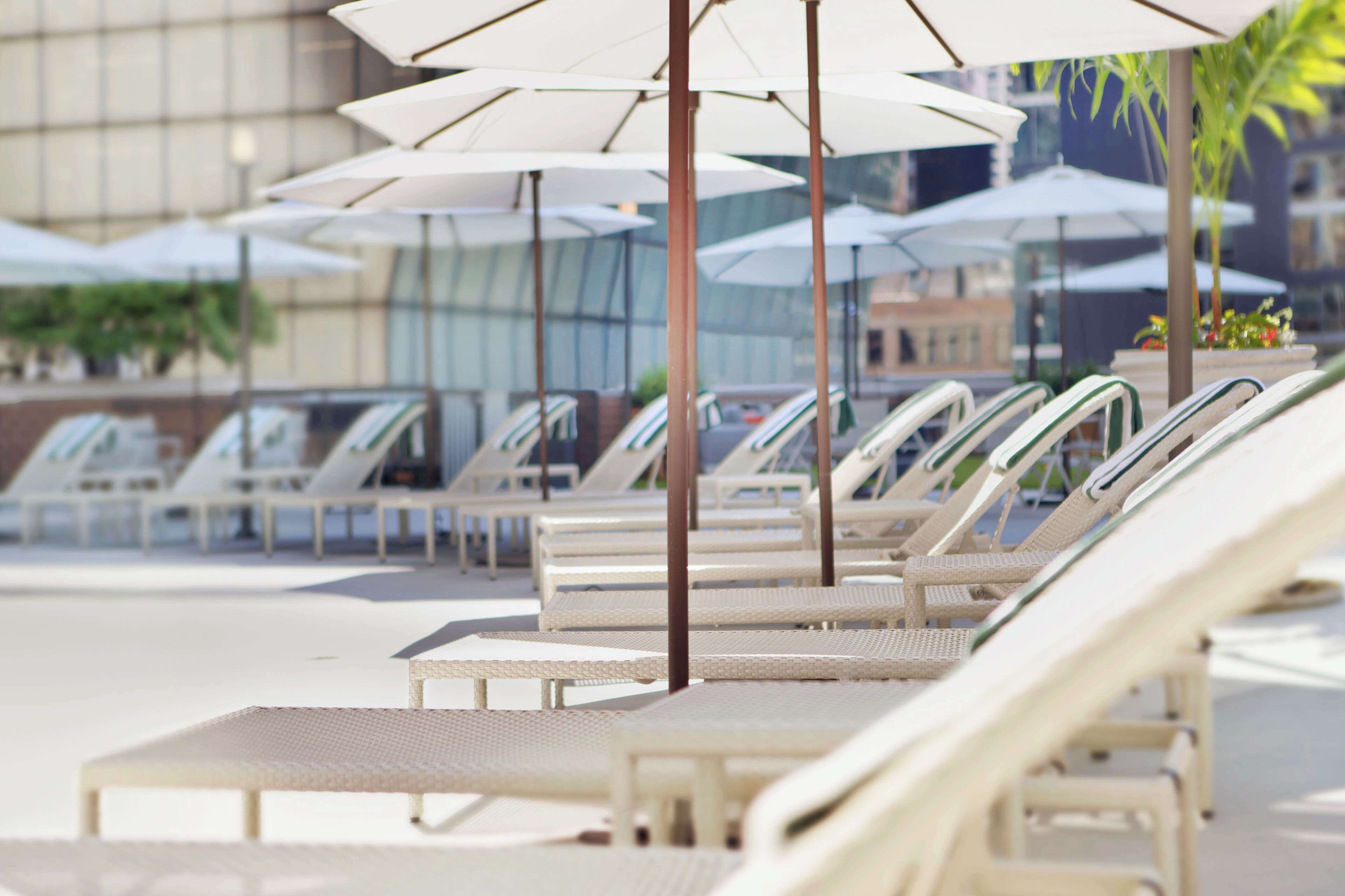 outdoor pool, pool loungers