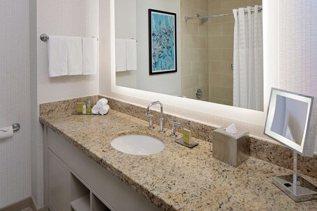 DoubleTree by Hilton Chicago Magnificent Mile - Image 11