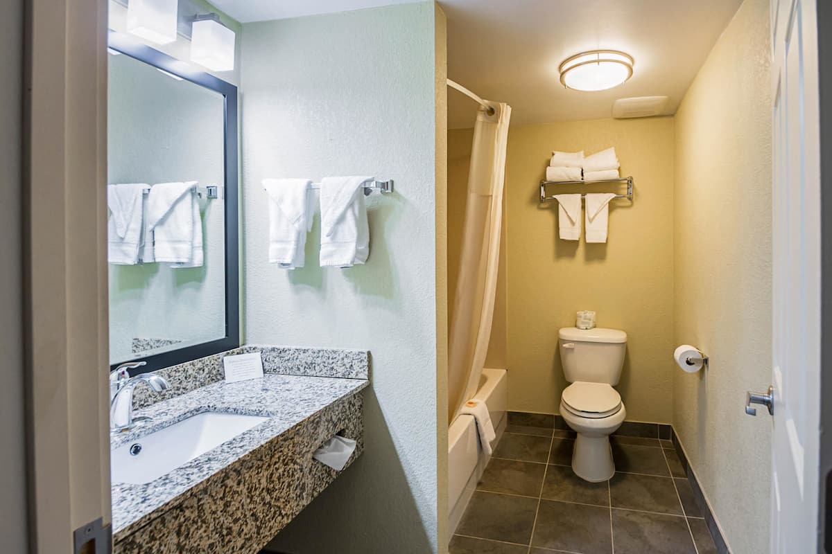 A bathroom with a granite countertop sink, a mirror, and a toilet with a shower curtain.