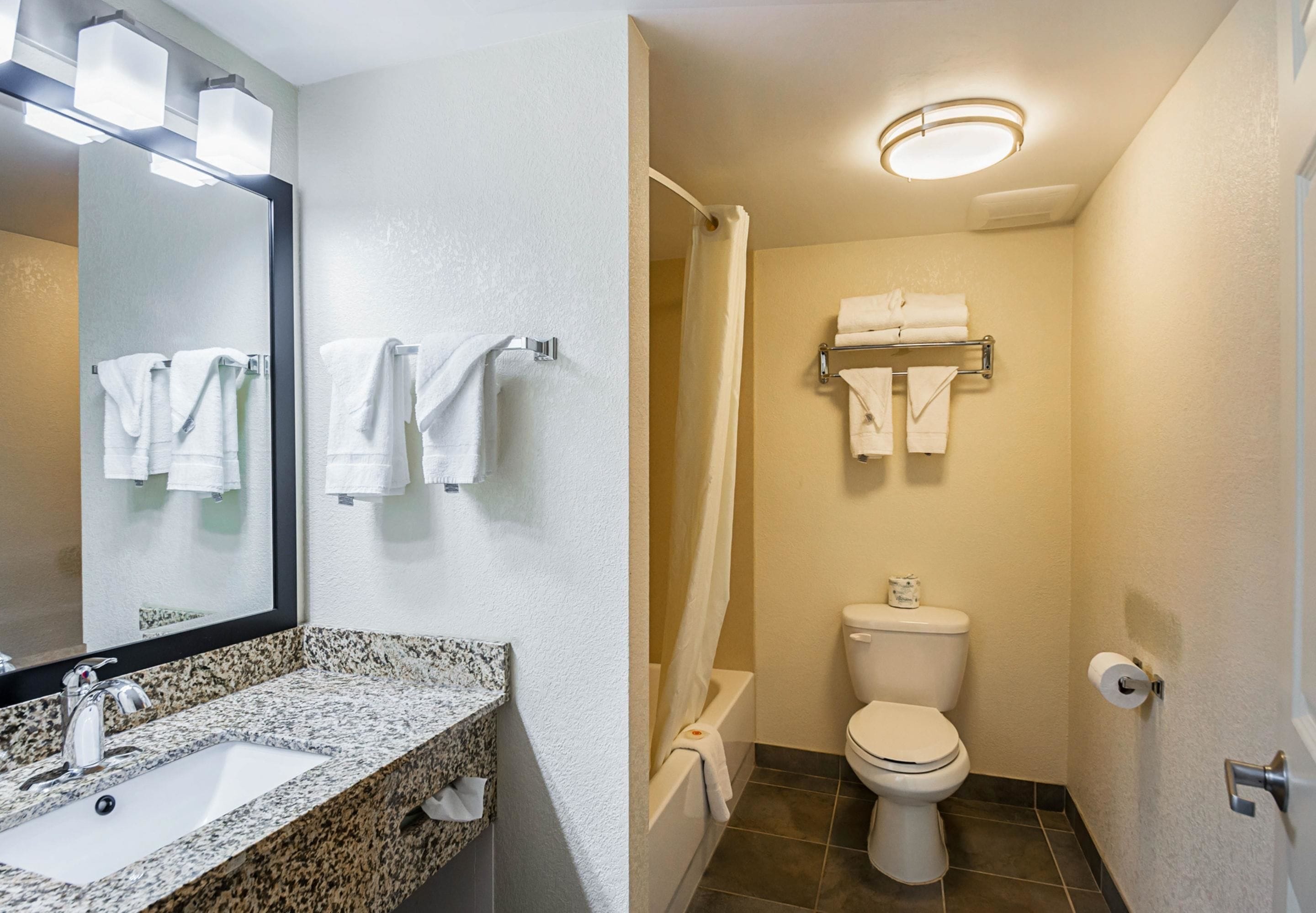 A bathroom with a granite countertop sink, a mirror, a toilet, and a shower curtain.