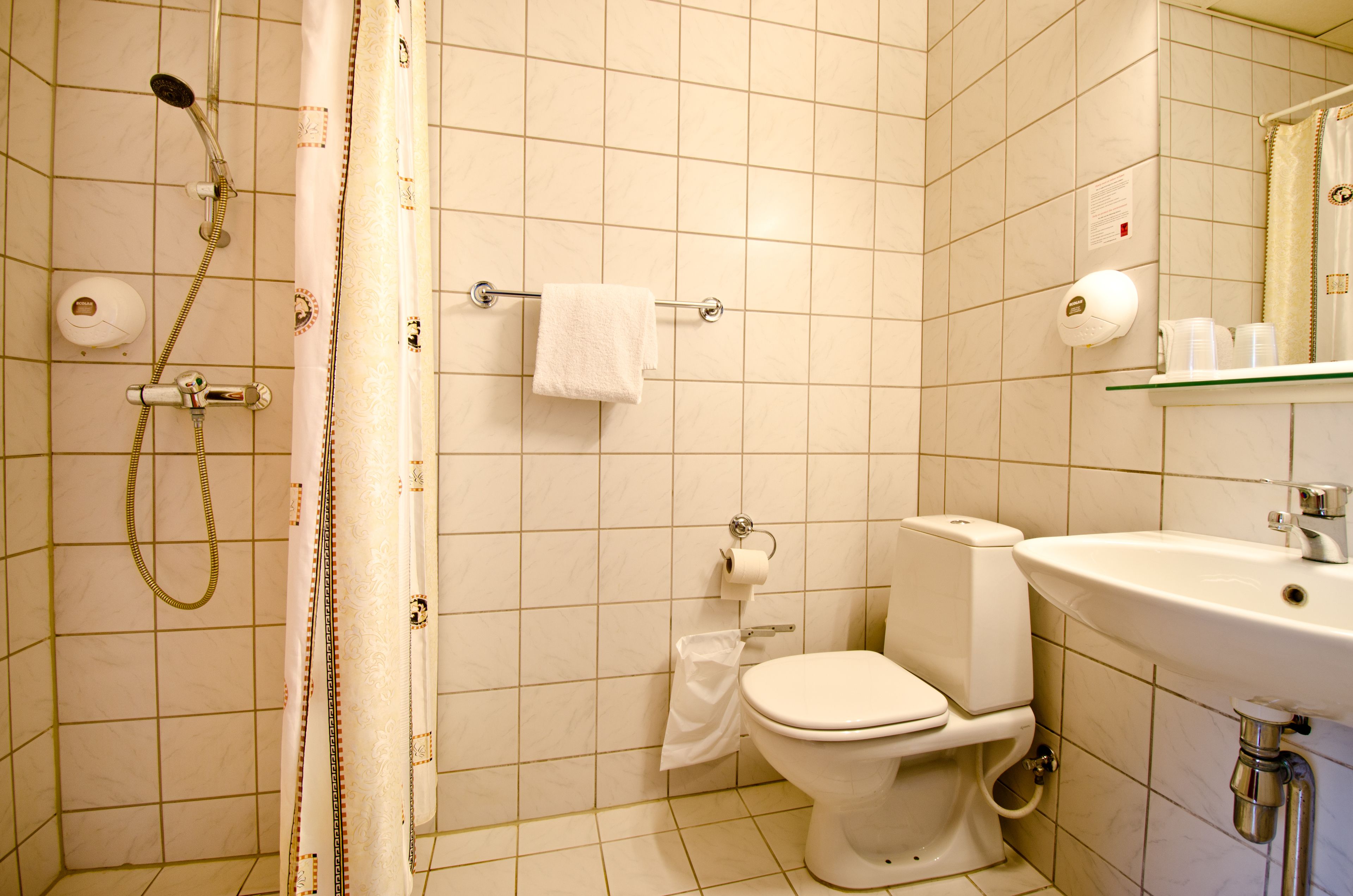 Een badkamer met douche, toilet, wastafel en handdoekhouder.
