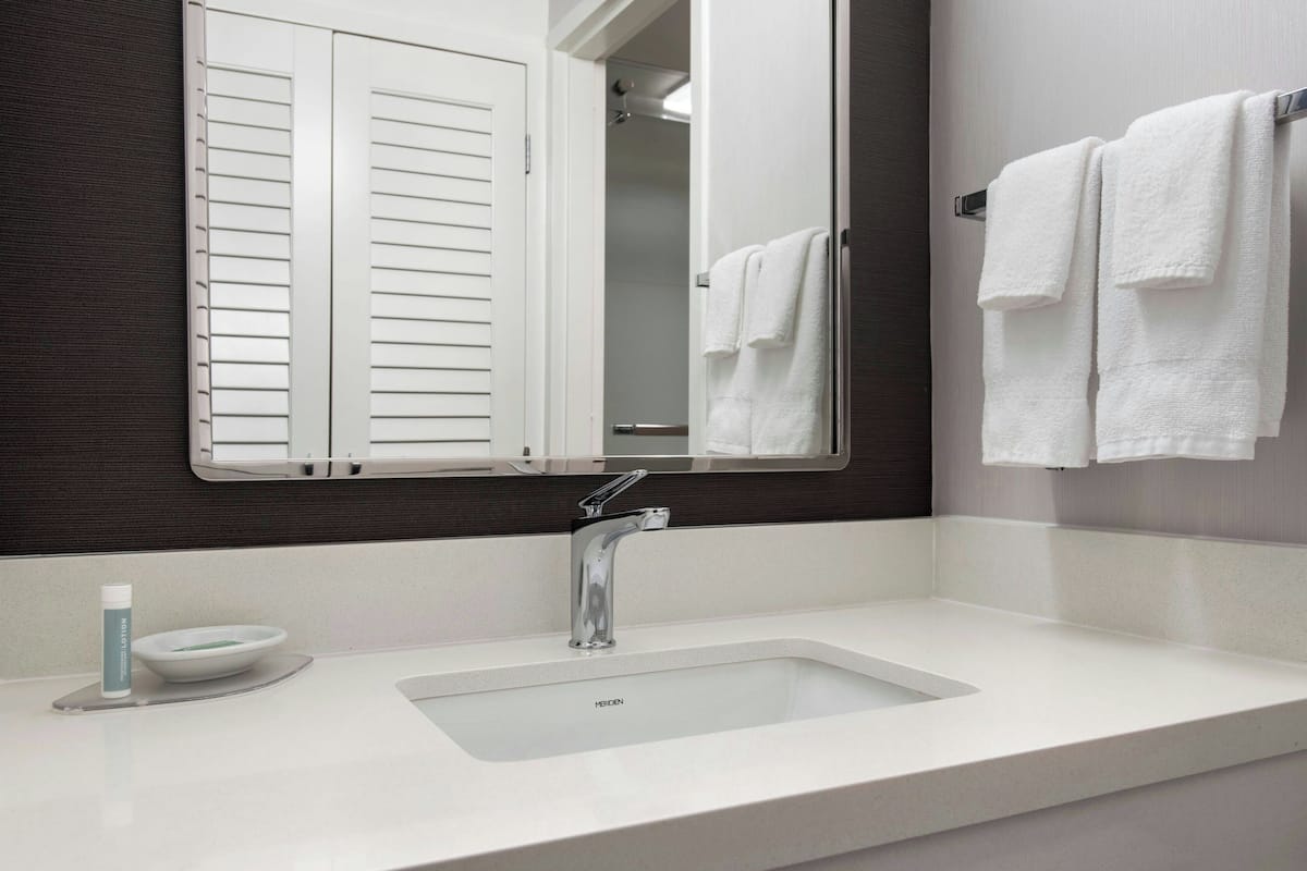 combined shower/bathtub, free toiletries, hair dryer, towels