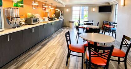 Quality Inn Harlingen