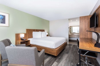 Standard Room, 1 King Bed | Desk, laptop workspace, blackout drapes, iron/ironing board at Ramada by Wyndham Altamonte Springs Near I-4