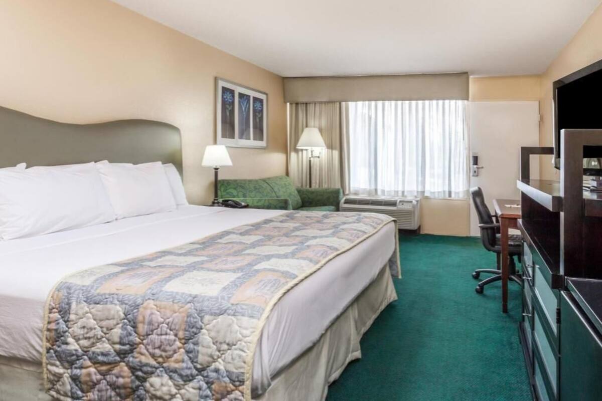 A hotel room with a large bed, a desk, a chair, a TV, and a window with curtains.