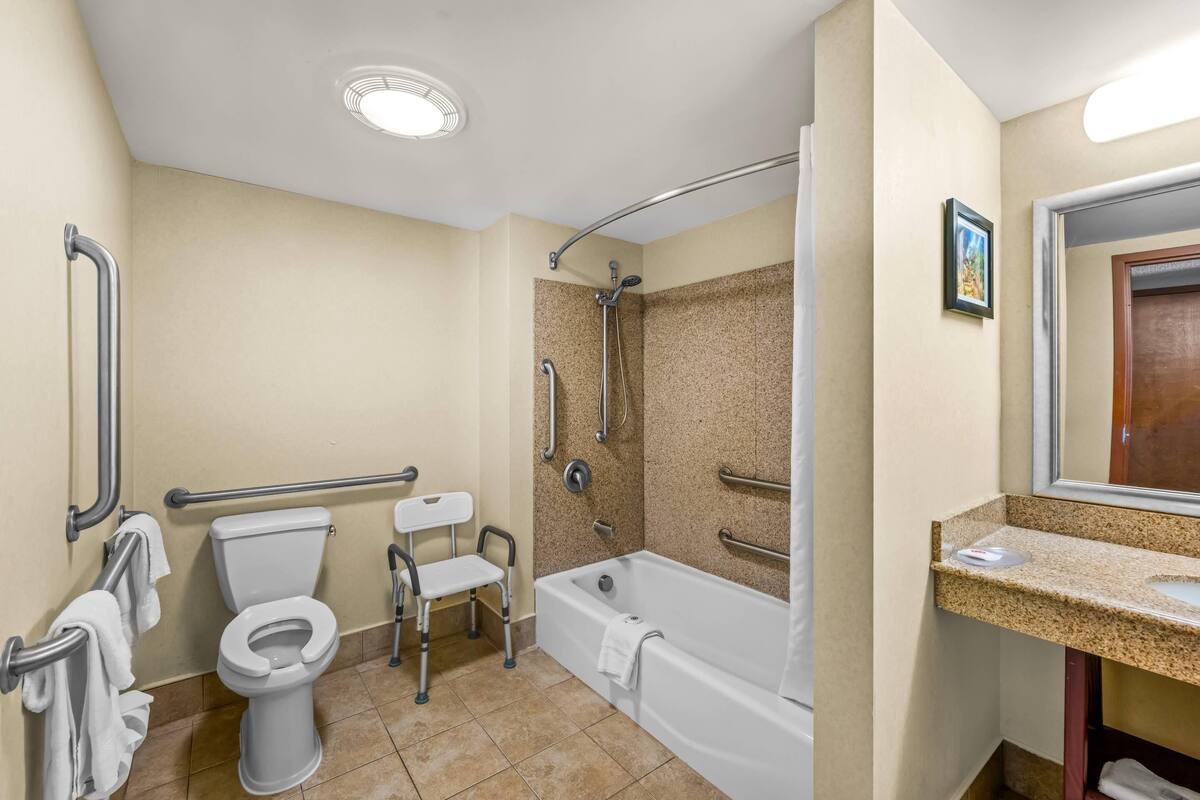 Suite, 1 cama King size y sofá cama, con acceso para personas discapacitadas, para no fumadores | Caja de seguridad en la habitación y escritorio 