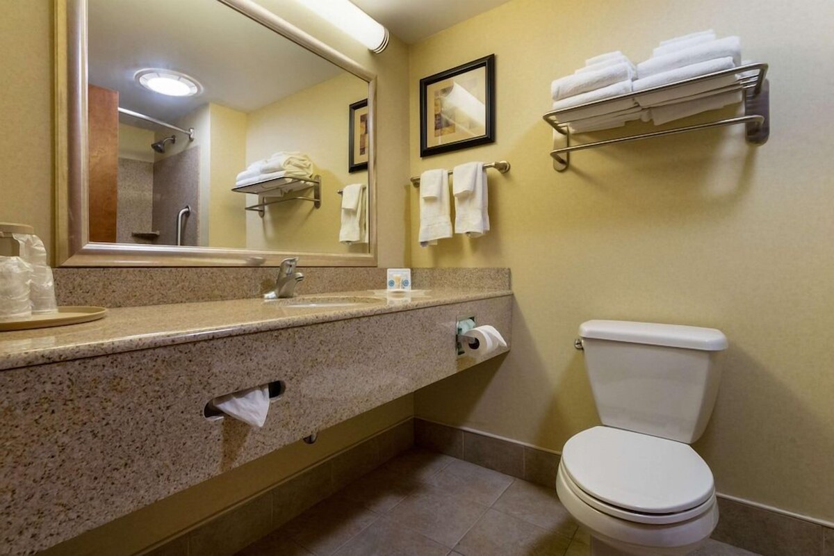 A bathroom with a sink, mirror, towel rack, toilet, and a shower visible in the mirror.
