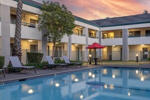 Outdoor pool, sun loungers