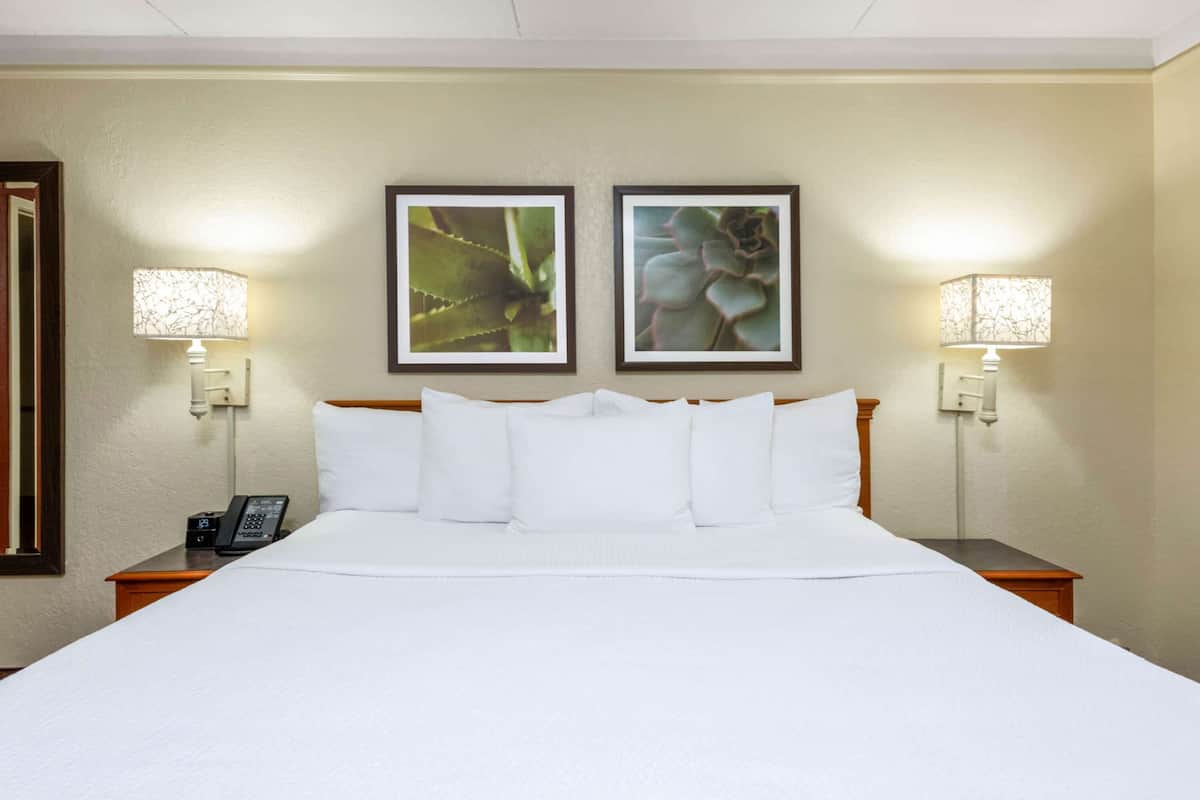 A hotel room with a large bed, two bedside lamps, and two framed botanical prints on the wall.
