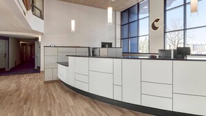 Eine moderne Küche mit einer gewölbten Arbeitsplatte, integrierten Geräten und großen Fenstern.