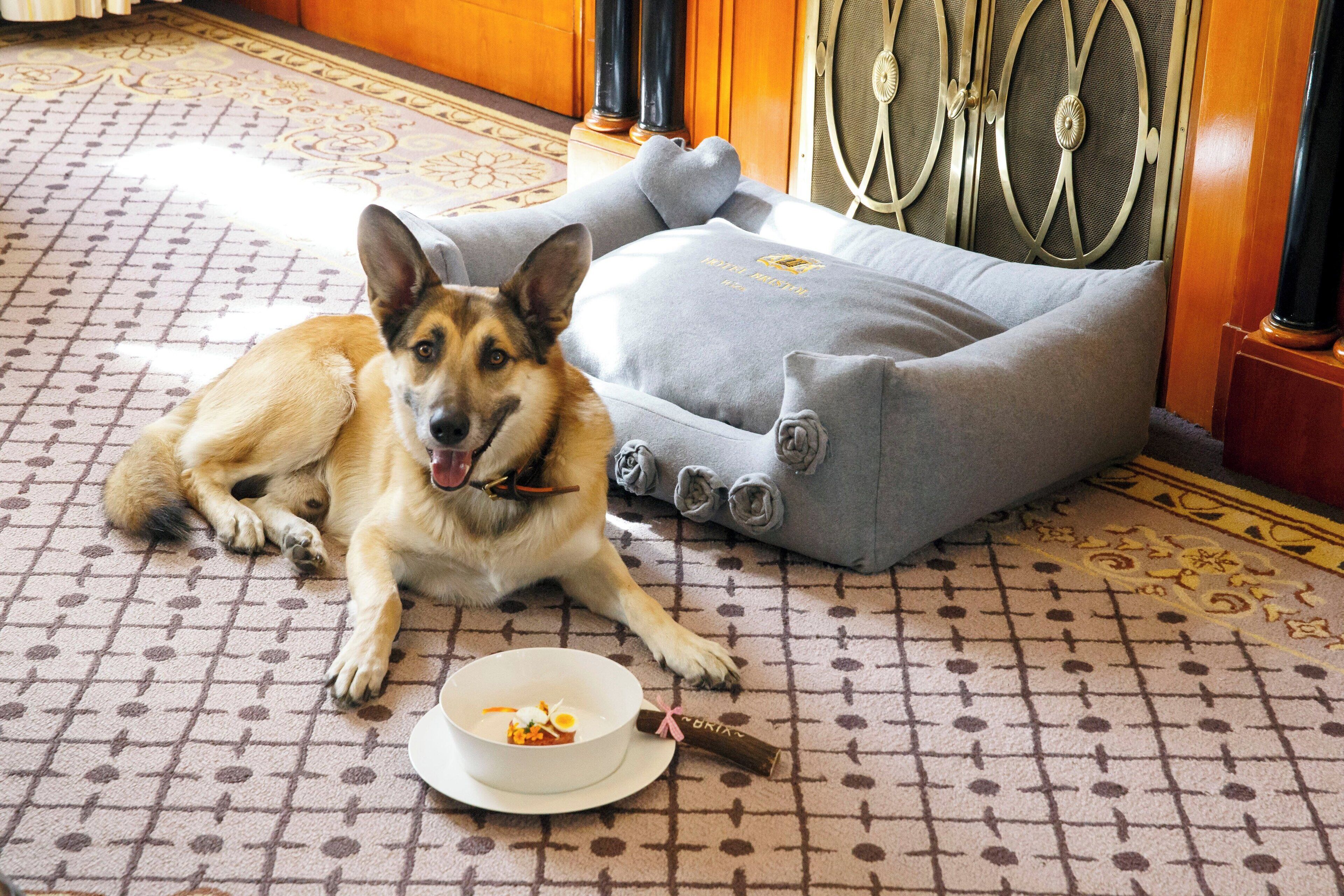 1 bedroom, premium bedding, down duvets, pillow-top beds