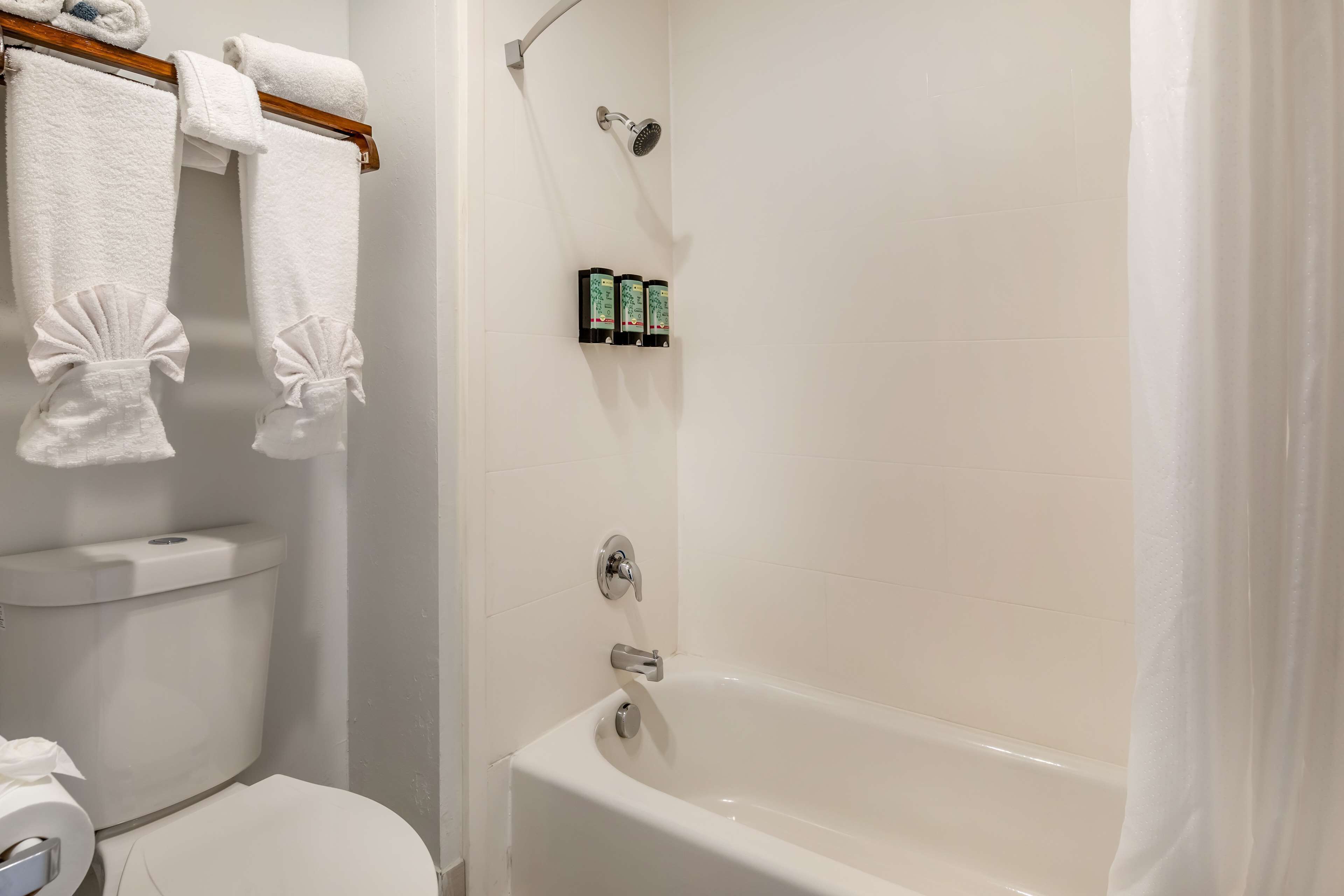 Foto - Best Western Inn at Palm Springs