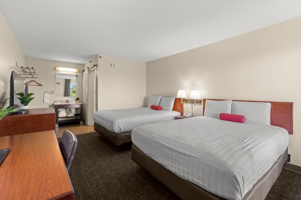 A hotel room with two beds, a desk, a chair, a mirror, and a small table with a plant.