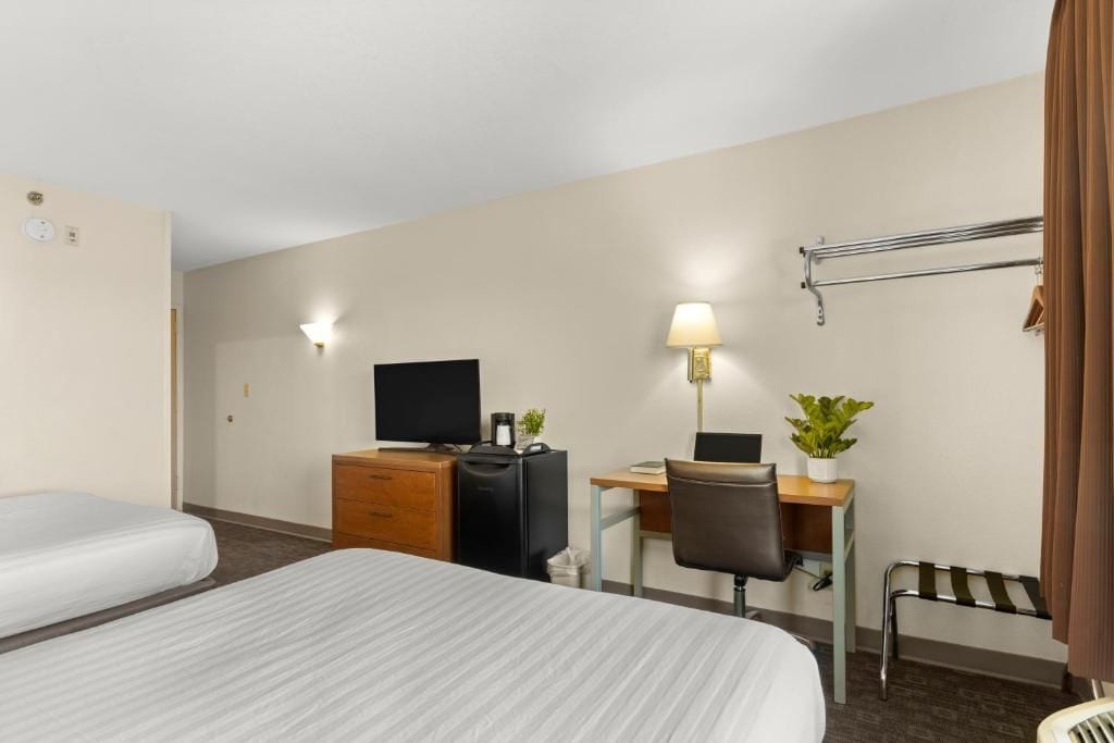 Habitación de hotel con dos camas, un escritorio con computadora, una silla, un televisor, una lámpara y una planta pequeña.