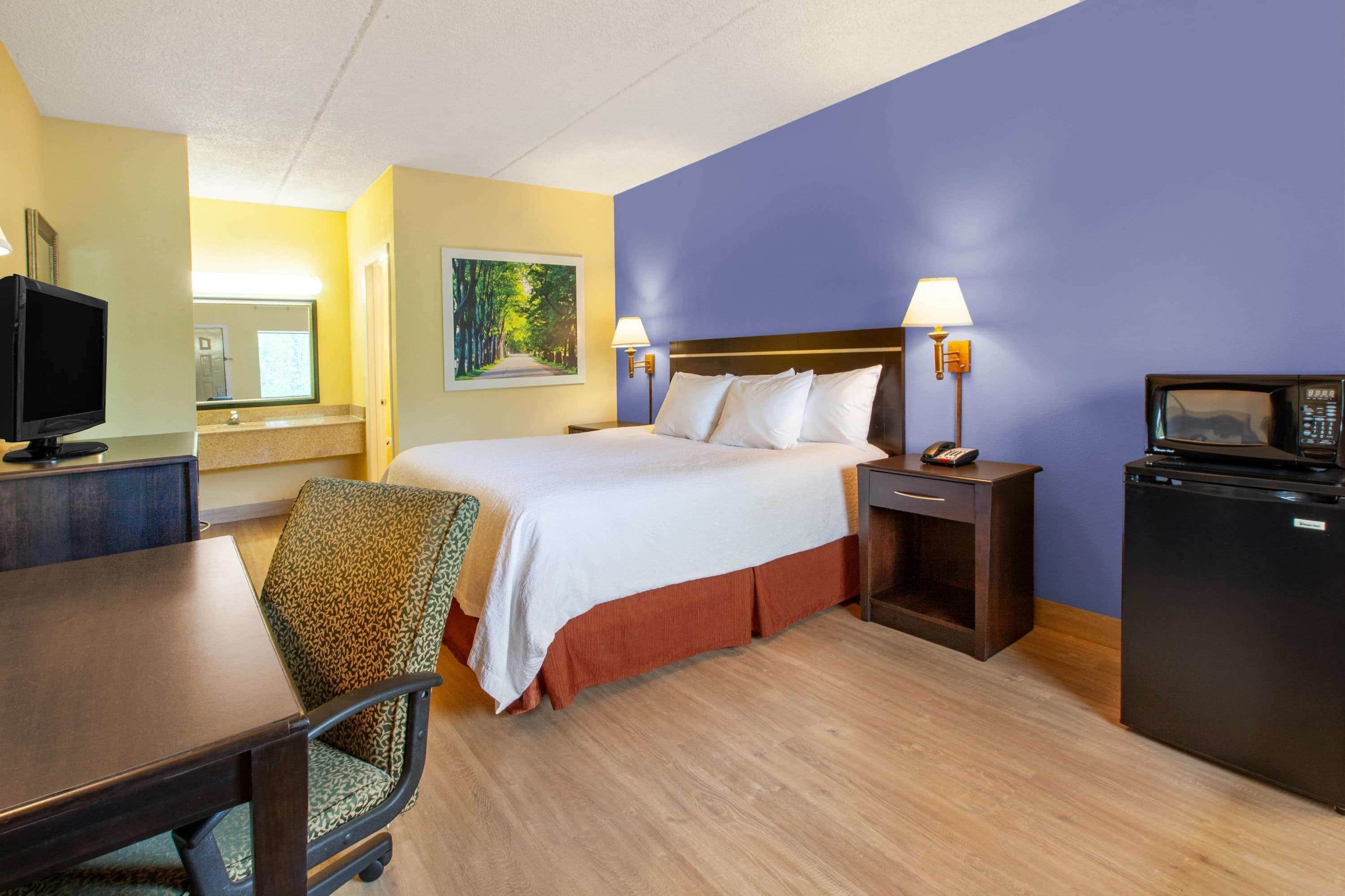 A hotel room with a bed, a desk, a chair, a television, a microwave, and a painting on the wall.