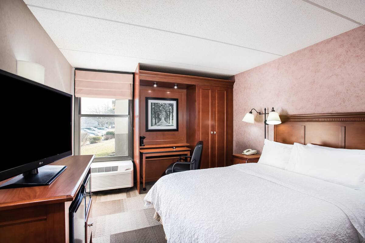 A hotel room with a large bed, a desk with a chair, a television, a window with a view of the outside, and a framed picture on the wall.