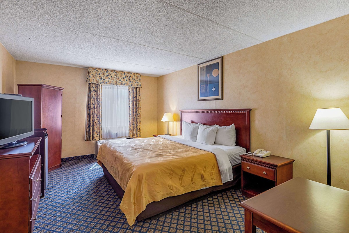 Standard Room, 1 King Bed, Non Smoking | 1 bedroom, premium bedding, desk, iron/ironing board