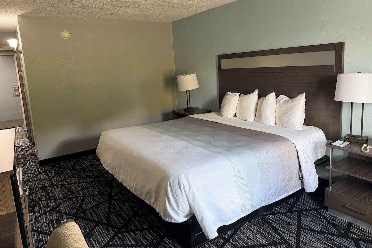 1 slaapkamer, luxe beddengoed, een bureau, een strijkplank/strijkijzer