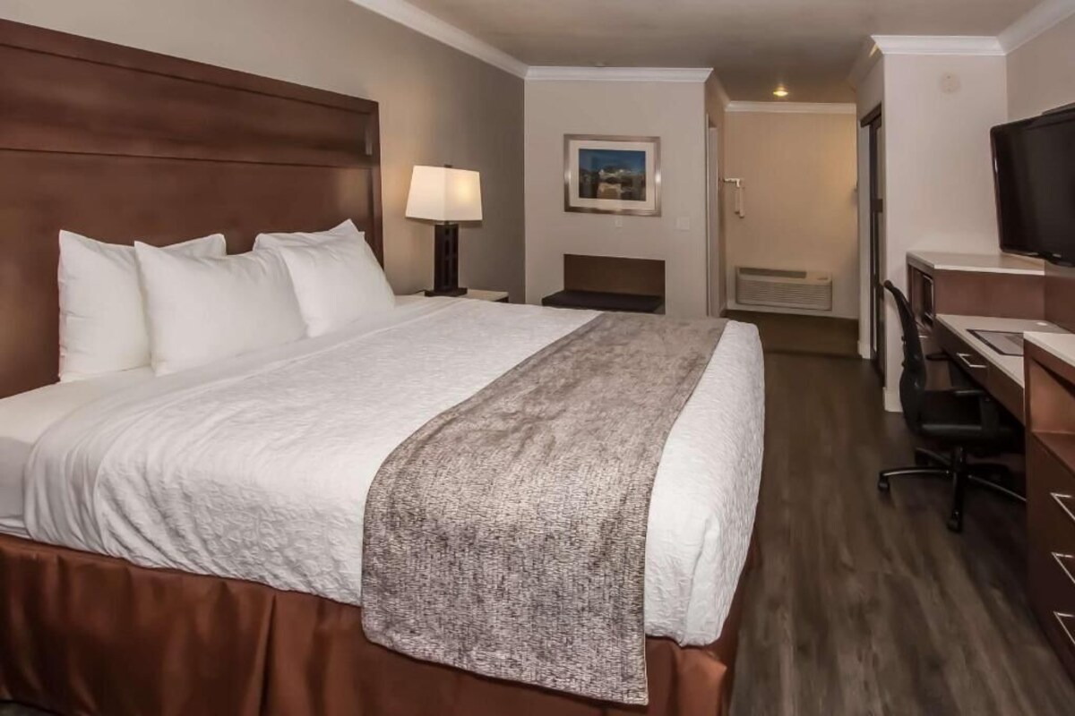 Habitación de hotel con una cama grande, un escritorio, una silla, un televisor y un cuadro en la pared.