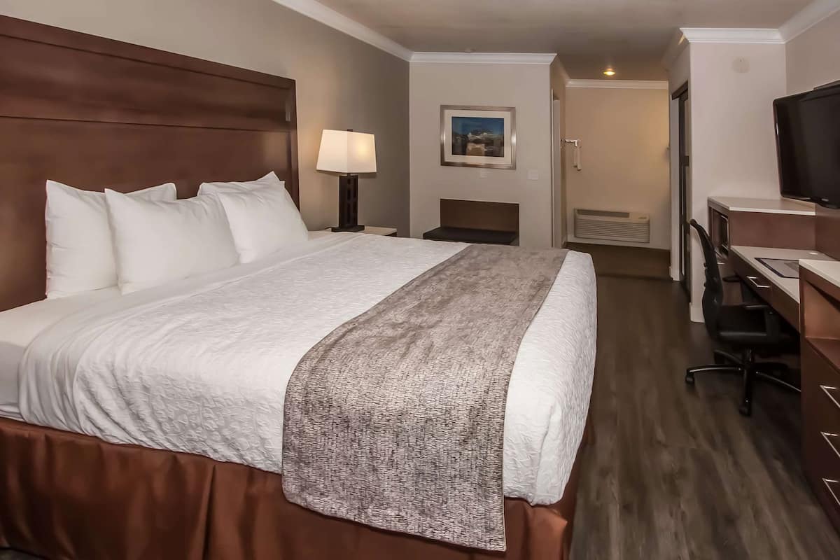 Quarto de hotel com uma cama grande, uma mesa, uma cadeira, uma televisão e um quadro na parede.
