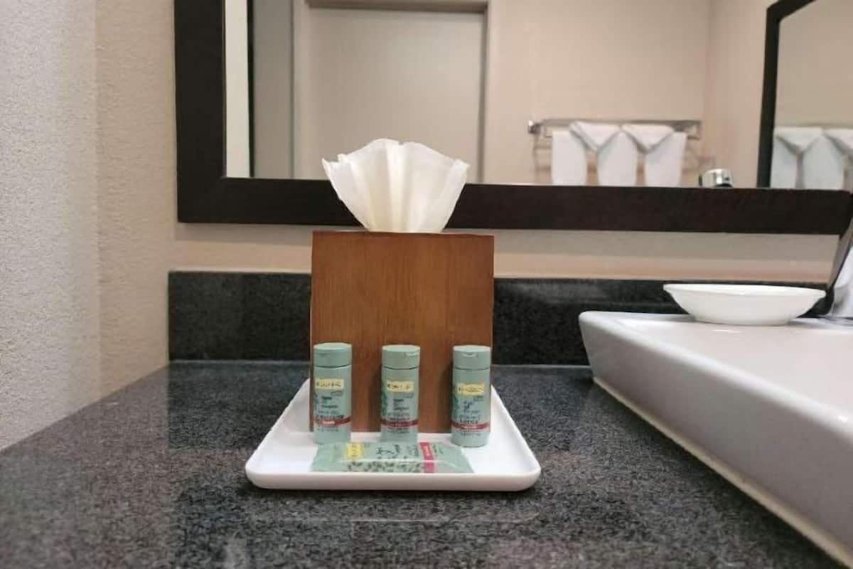 Duschwanne, kostenlose Toilettenartikel, Haartrockner, Handtücher