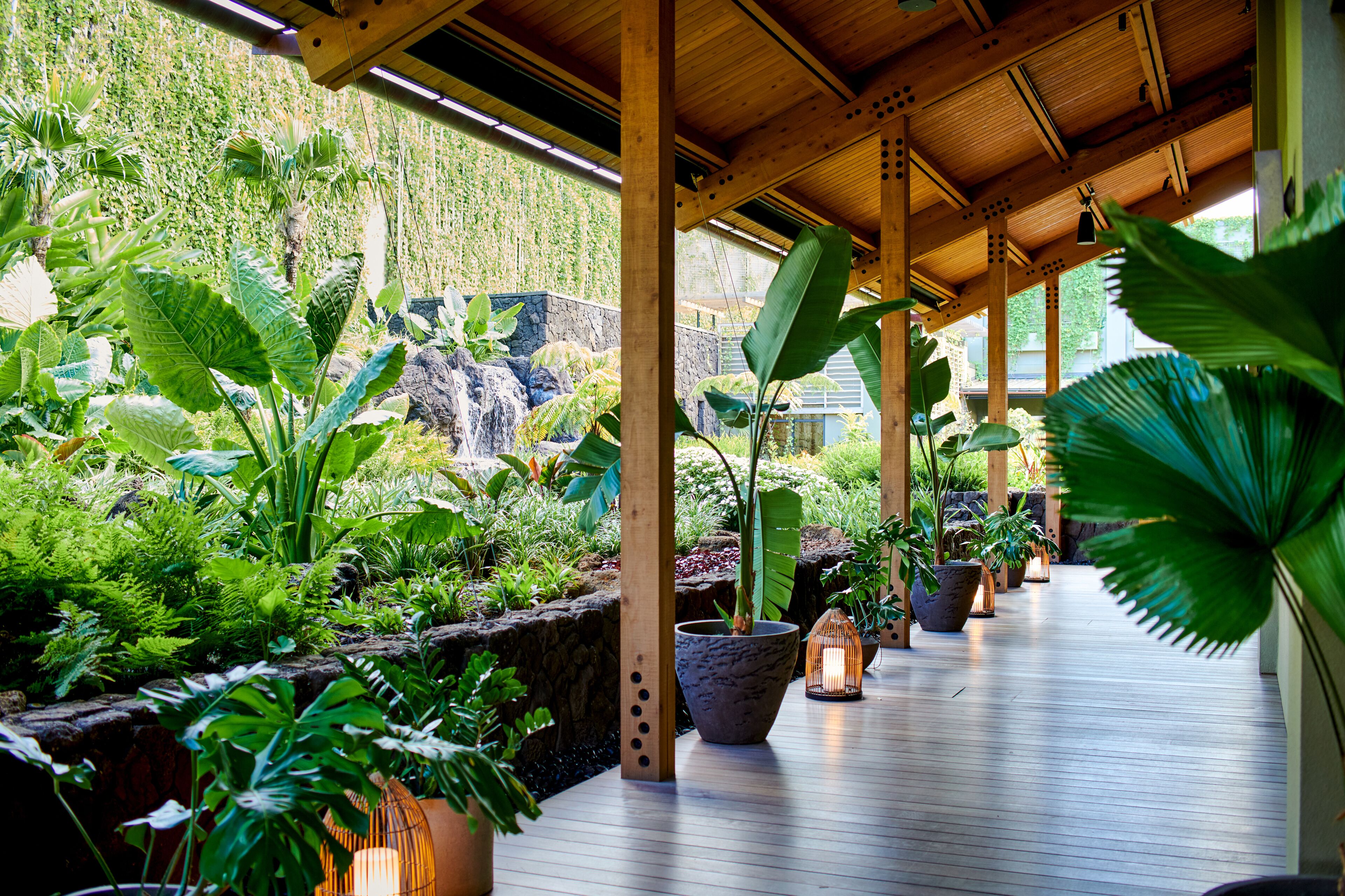 A covered walkway with wooden beams, potted plants, and a stone wall.