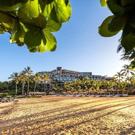 On the beach, white sand, free beach cabanas, sun loungers