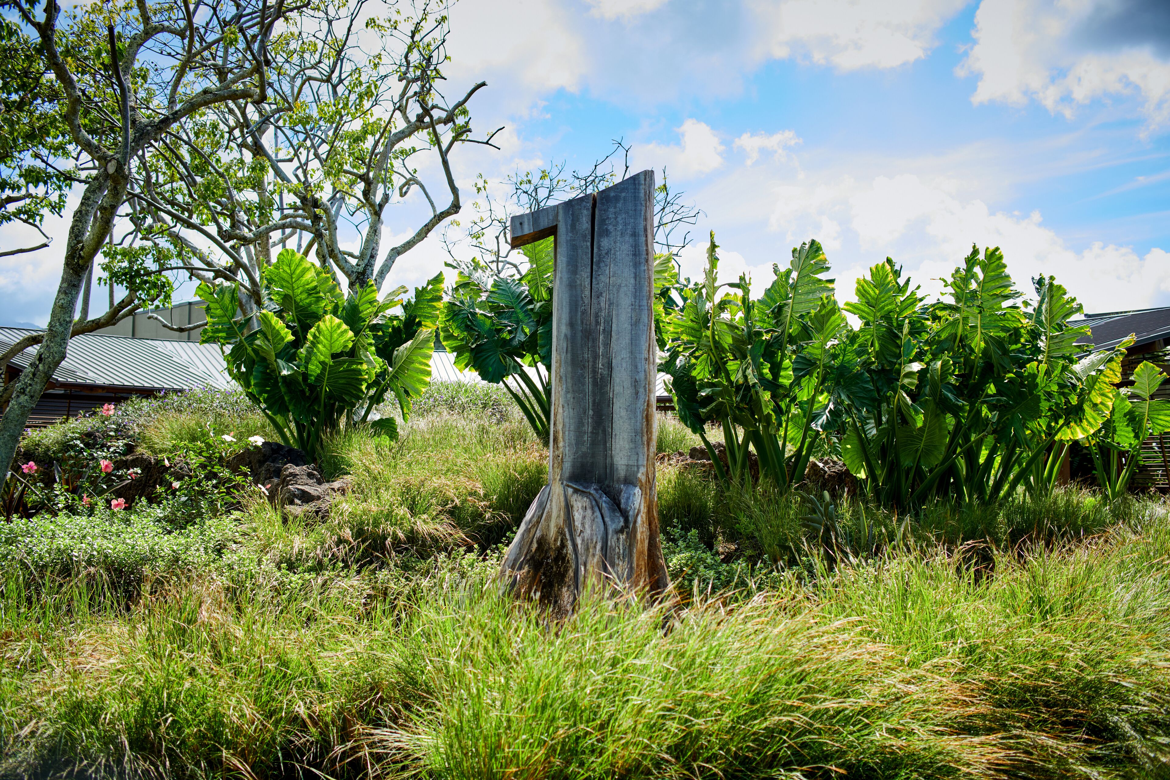 A rustic wooden structure amidst lush greenery, with a clear sky above.