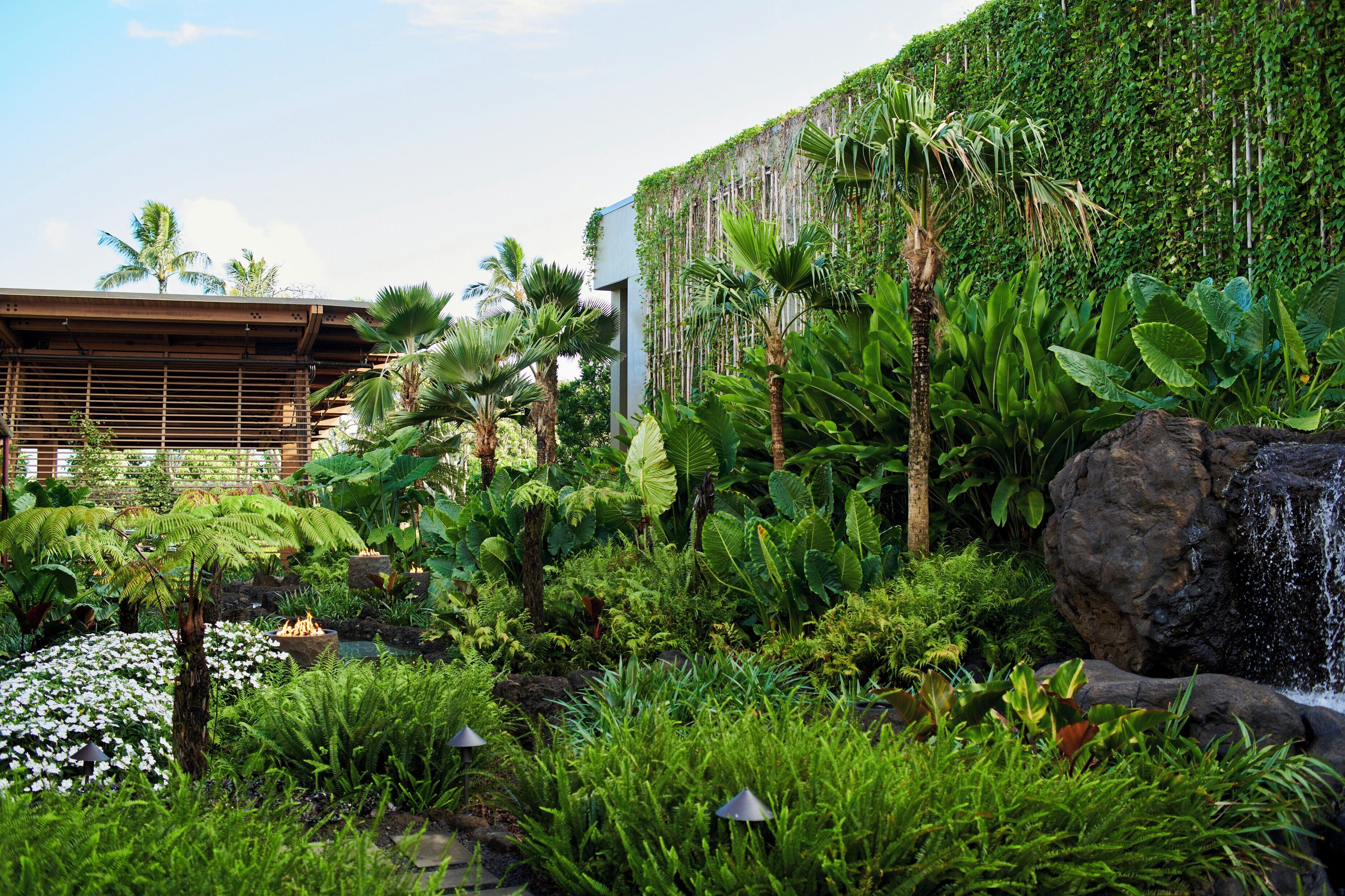 A lush garden with a waterfall, dense foliage, and a modern building with a sloped roof.