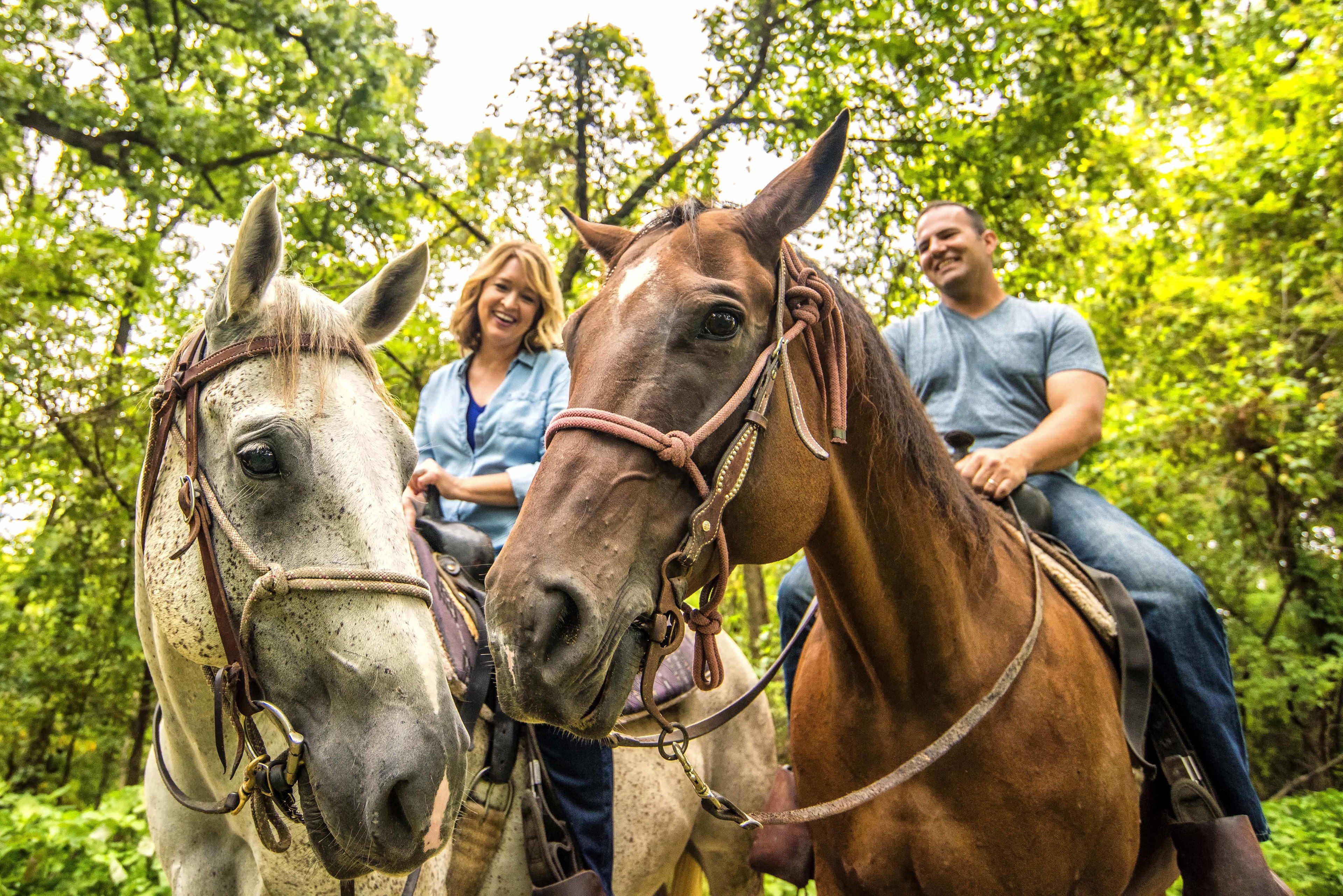 Two horses with riders, surrounded by lush green trees.