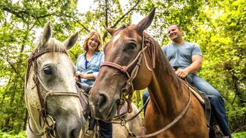 Two horses with riders, surrounded by lush green trees.
