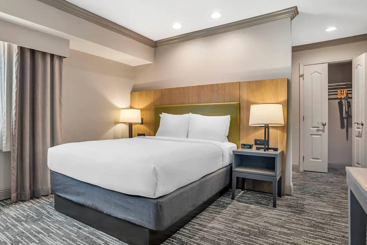 A hotel room with a large bed, bedside lamps, a nightstand, a wardrobe, and a carpeted floor.