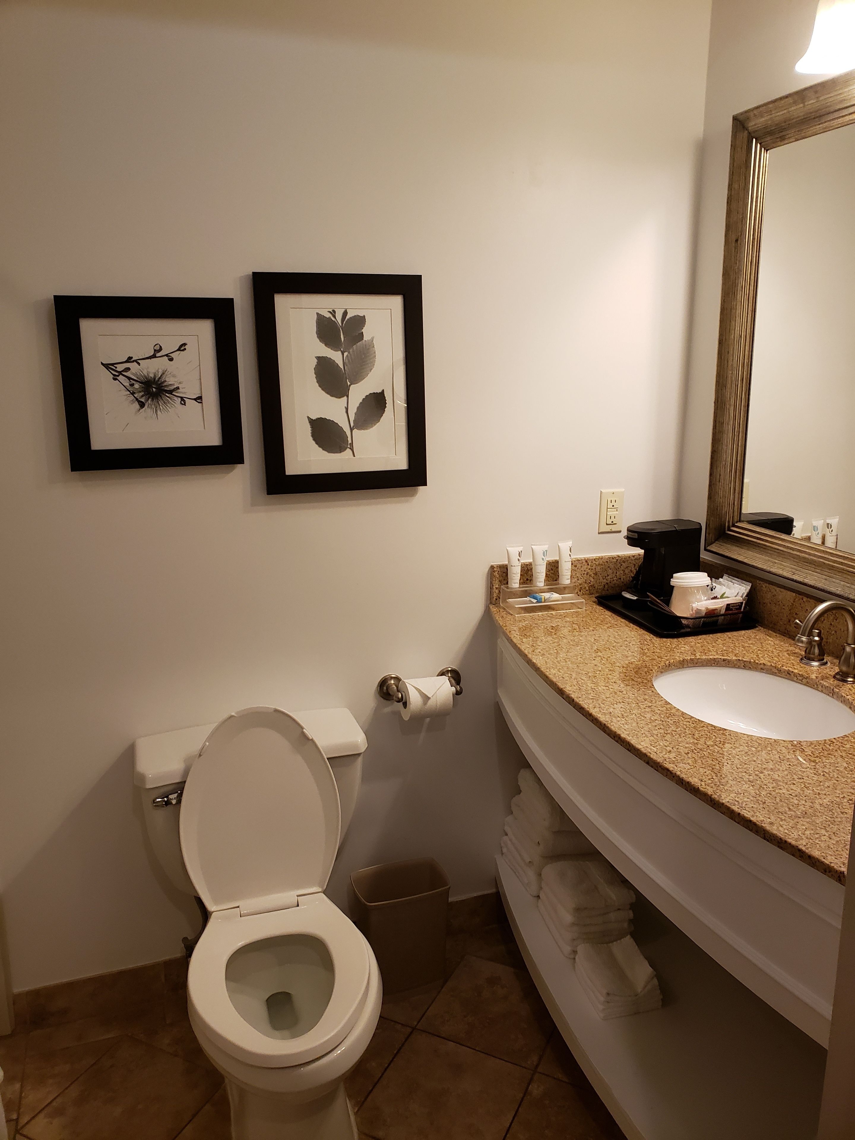 A bathroom with a toilet, sink, and framed botanical prints on the wall.