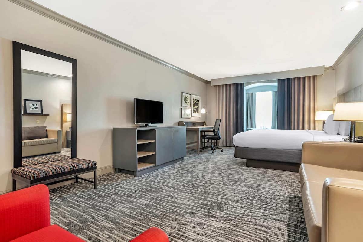 A hotel room with a bed, desk, chair, TV, and a large mirror.