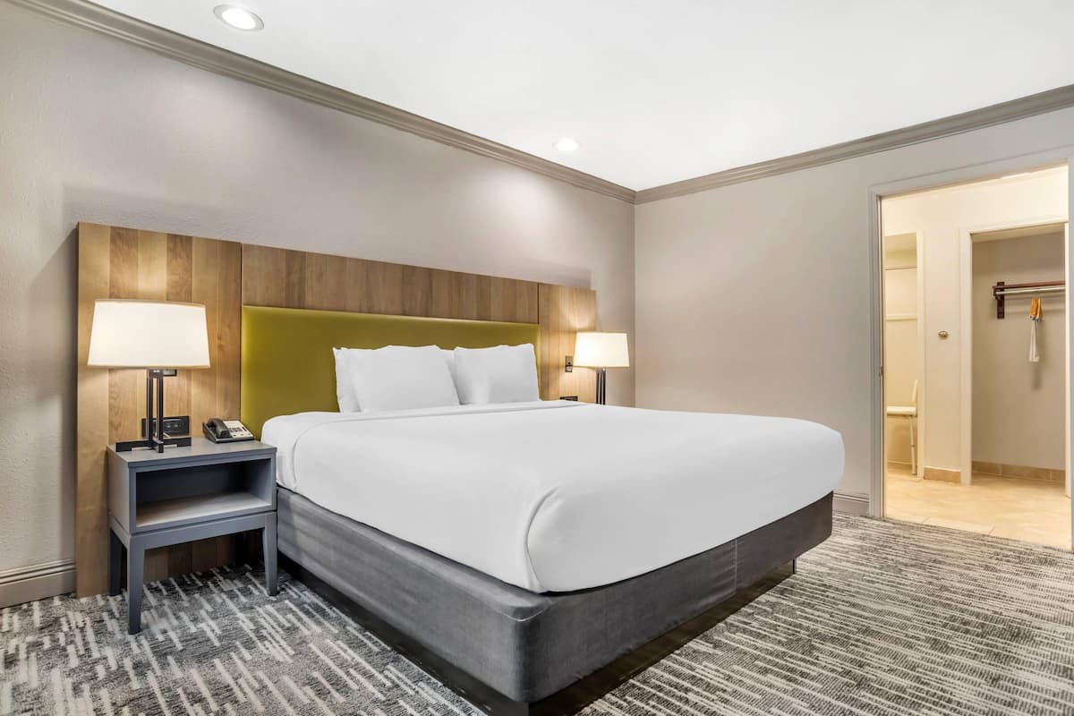 A hotel room with a large bed, two bedside tables with lamps, a wooden headboard, and a carpeted floor.